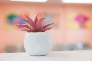 Pilgrim Medical Center abortion clinic